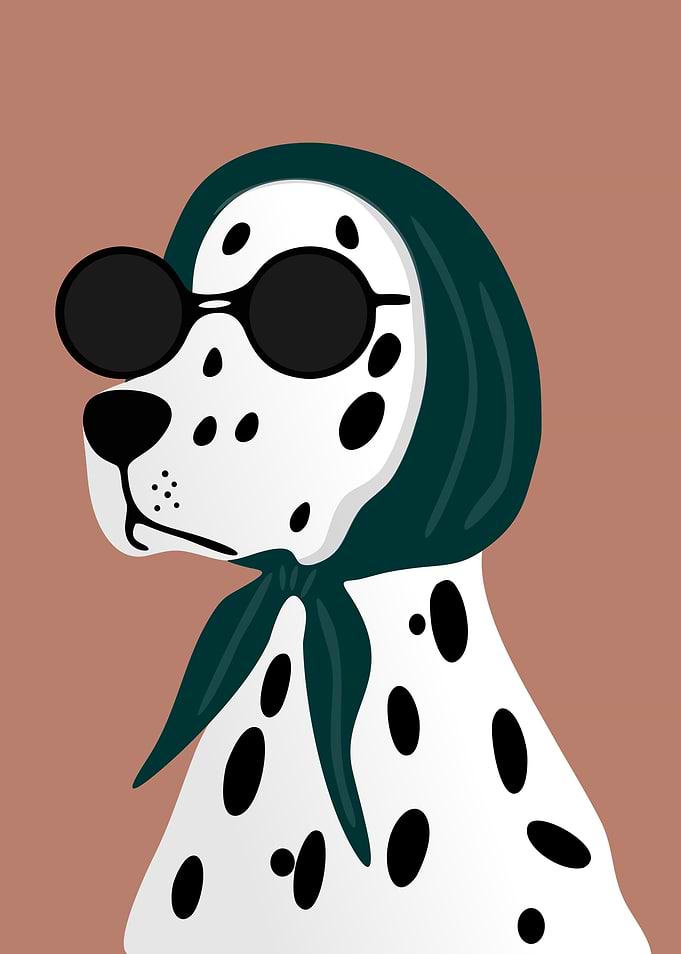Dalmatian Dog Wearing Scarf and Sunglasses