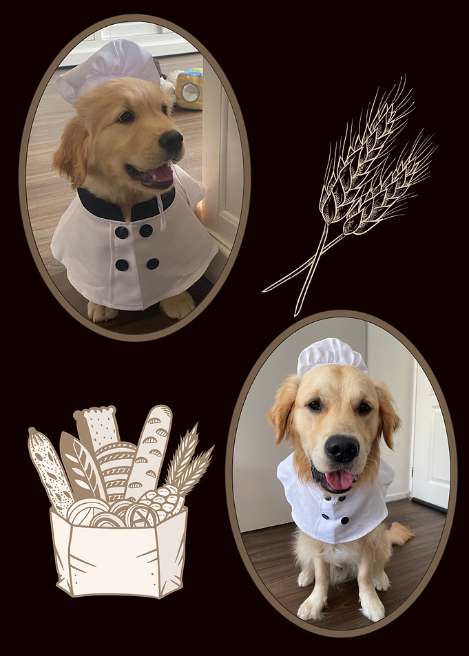 Golden Retriever Chef with Bakery Items