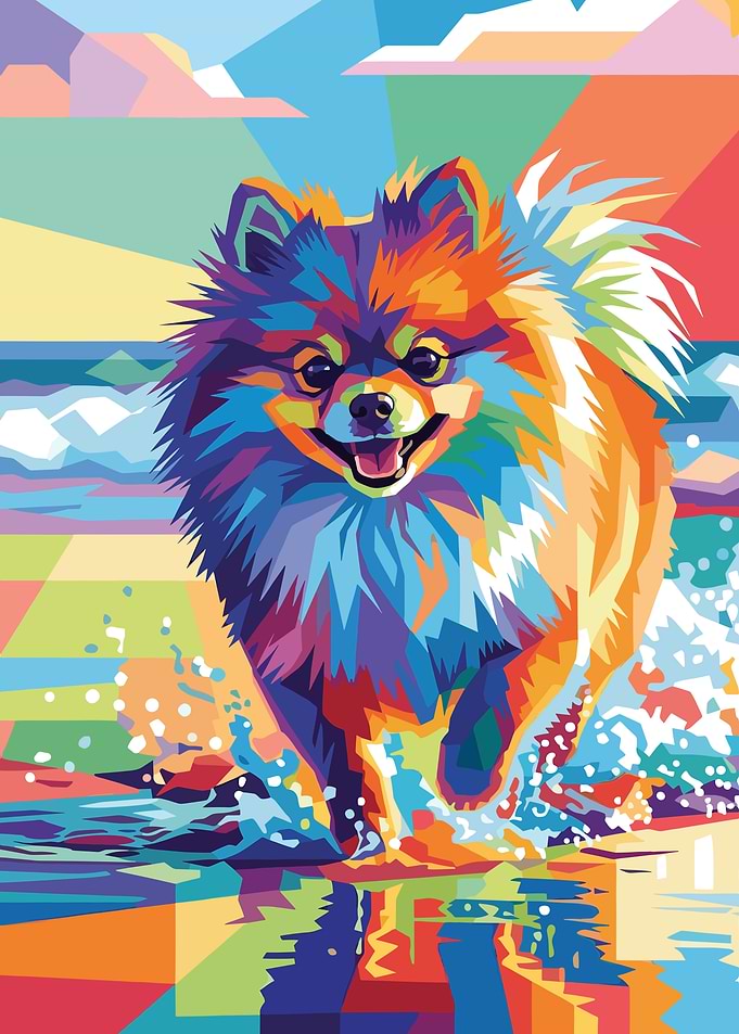 Pomeranian Dog Running in Water