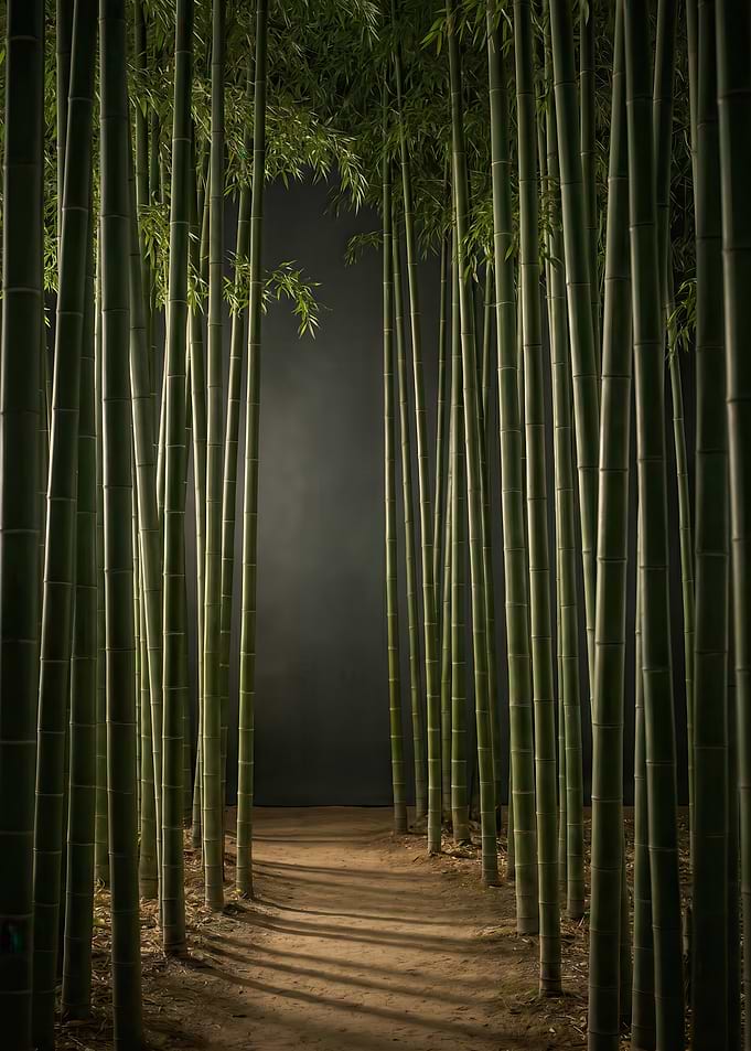 Path Through Bamboo Forest at Night