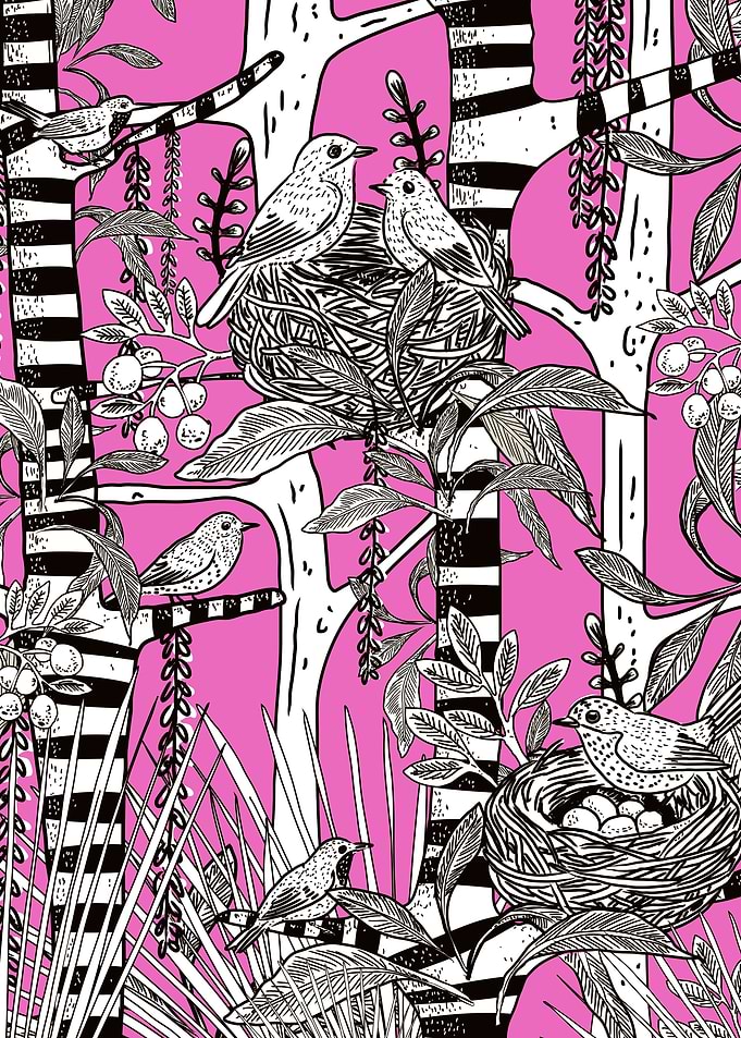 Birds in nests with pink background