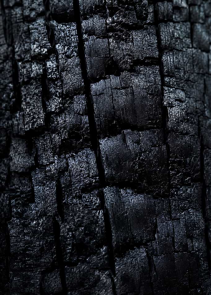 Charred Black Wood Shou Sugi Ban Texture