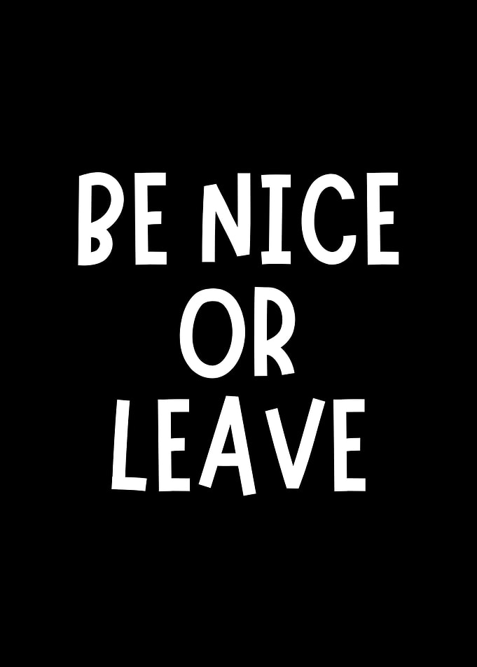 Be Nice Or Leave