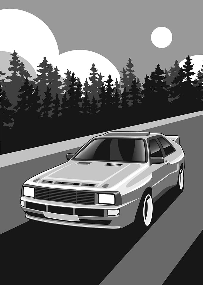 Quattro Forest Dawn