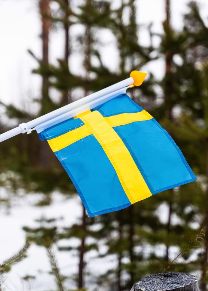 Swedish Flag in Winter Forest