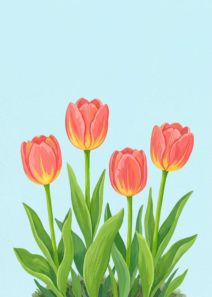 Four Coral Tulips on Blue Background