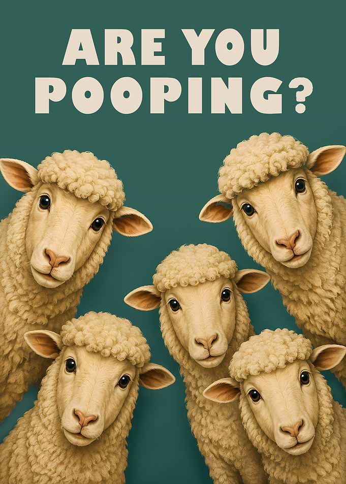 Are You Pooping? Five Sheep Asking