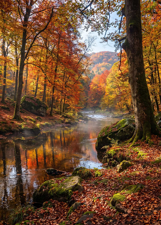 Autumn Forest River Landscape