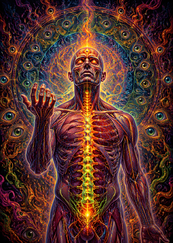 Anatomical Visionary Art