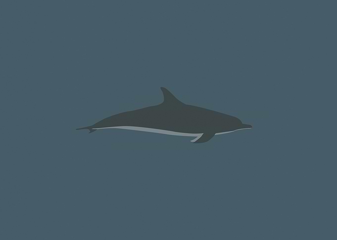 Oceanic Minimalism Dolphin Navy Blue Wall Art
