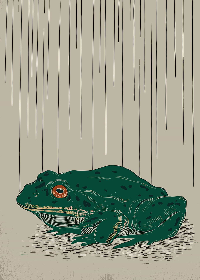 Green Frog in the Rain