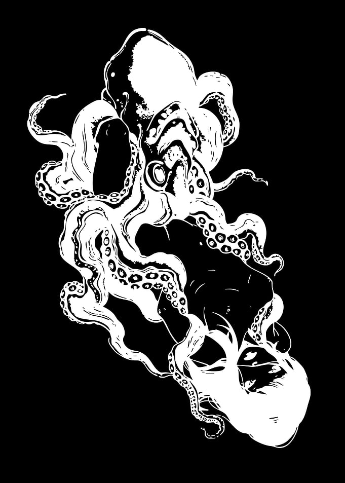 Stylized Octopus Illustration