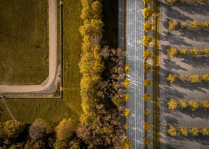 Aerial View of Autumn Trees Along Road