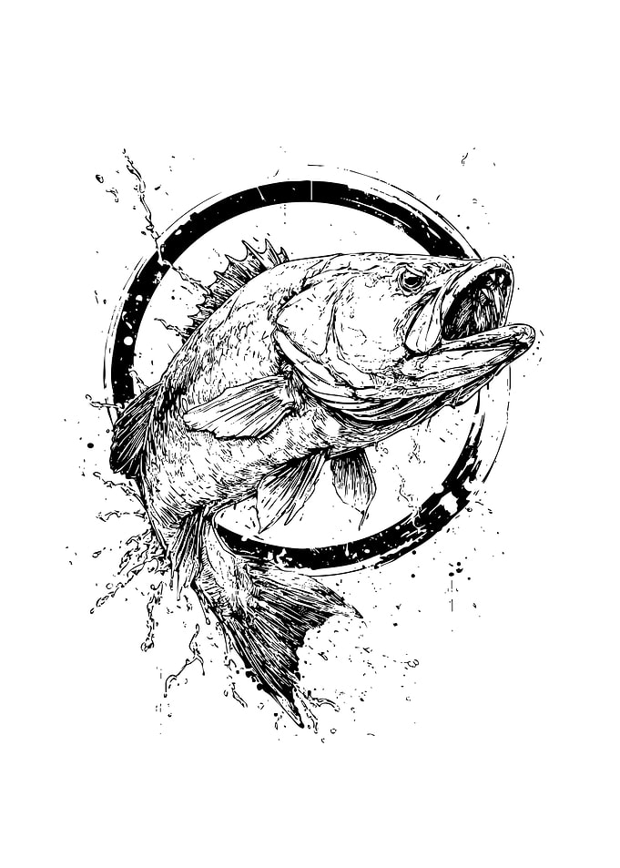 Jumping Bass Fish Illustration