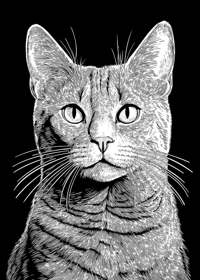 Detailed Chartreux Cat Portrait