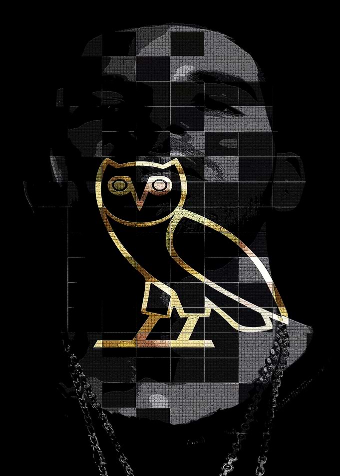 Drake OVO Owl Portrait