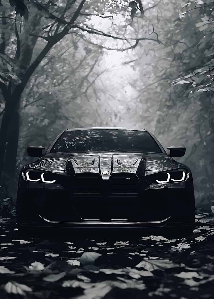 Dark BMW M4 in Forest