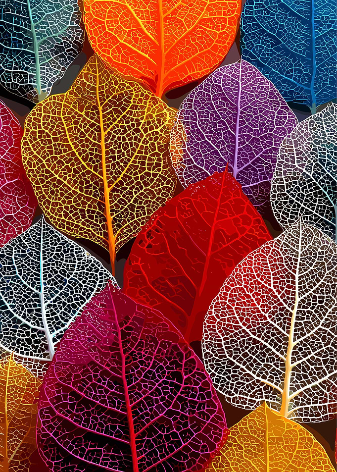 Colorful Skeleton Leaves