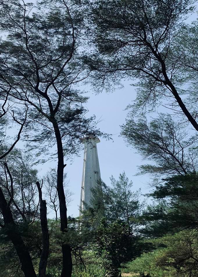 Lighthouse through trees