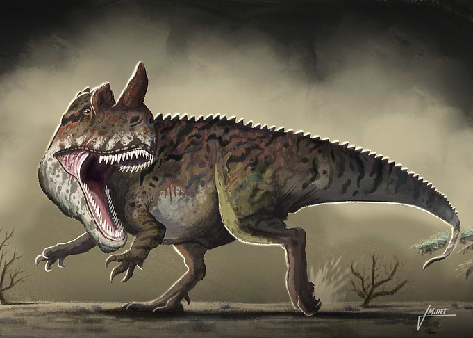 Ceratosaurus