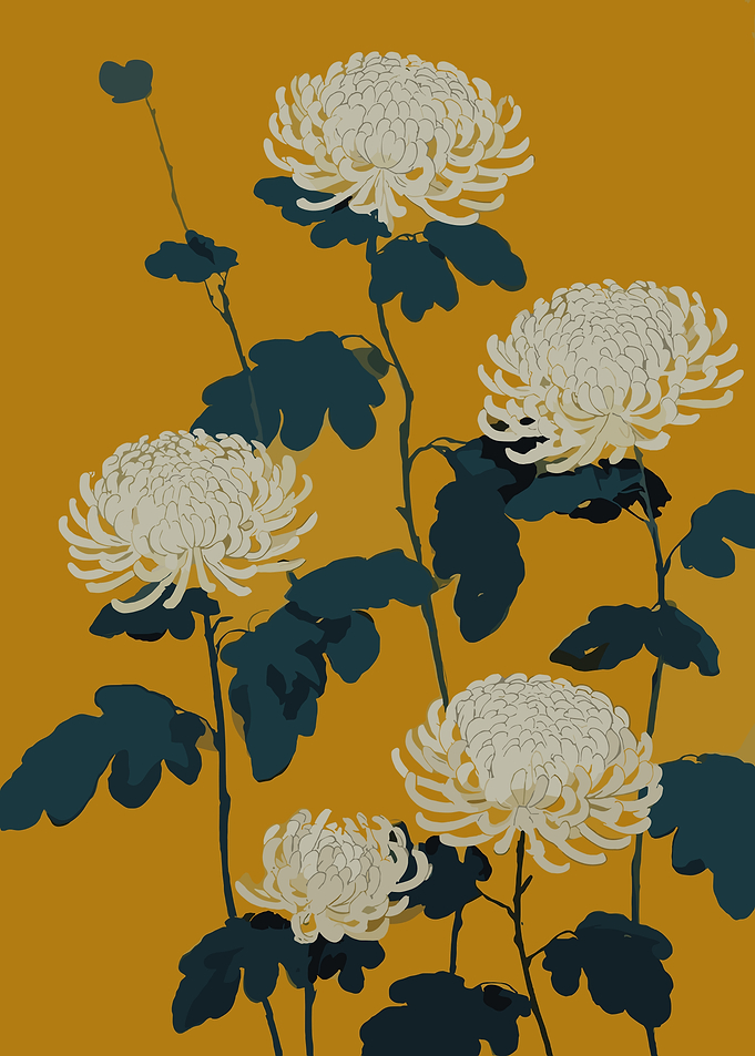 White Chrysanthemums on Mustard Background