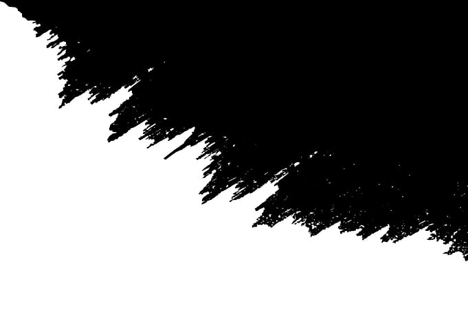 Abstract Black and White Fractal Edge