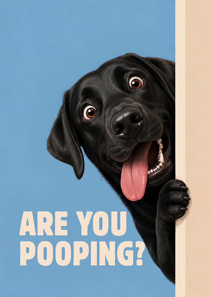 Are You Pooping Black Labrador Retriever