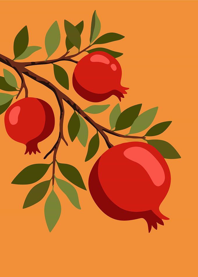 Pomegranates on a Branch