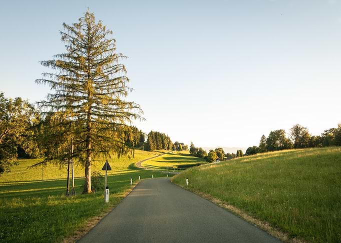 Winding Road Through Green Hills