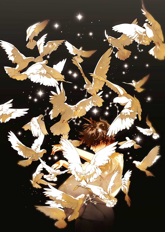 Boy Surrounded by White Doves