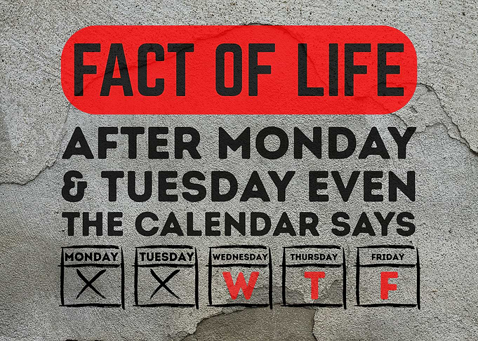 WTF Fact of Life Calendar Humor