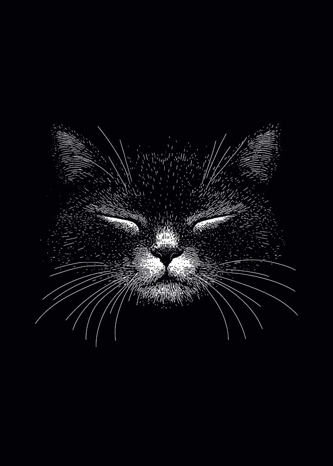Cat Nap