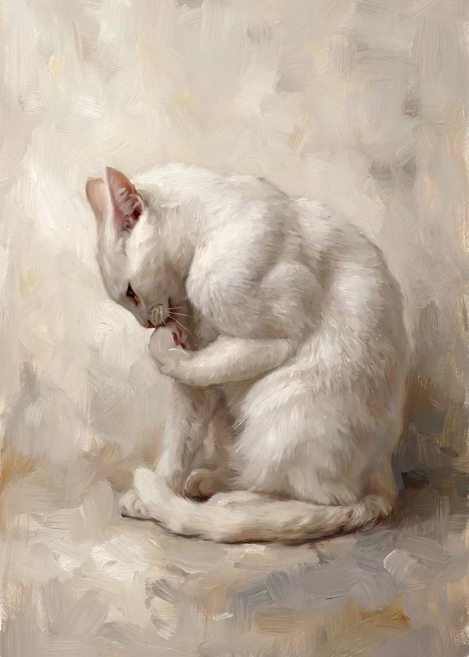 White Cat Grooming Itself