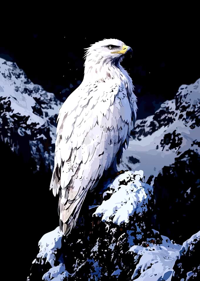 White Eagle on Snowy Mountain