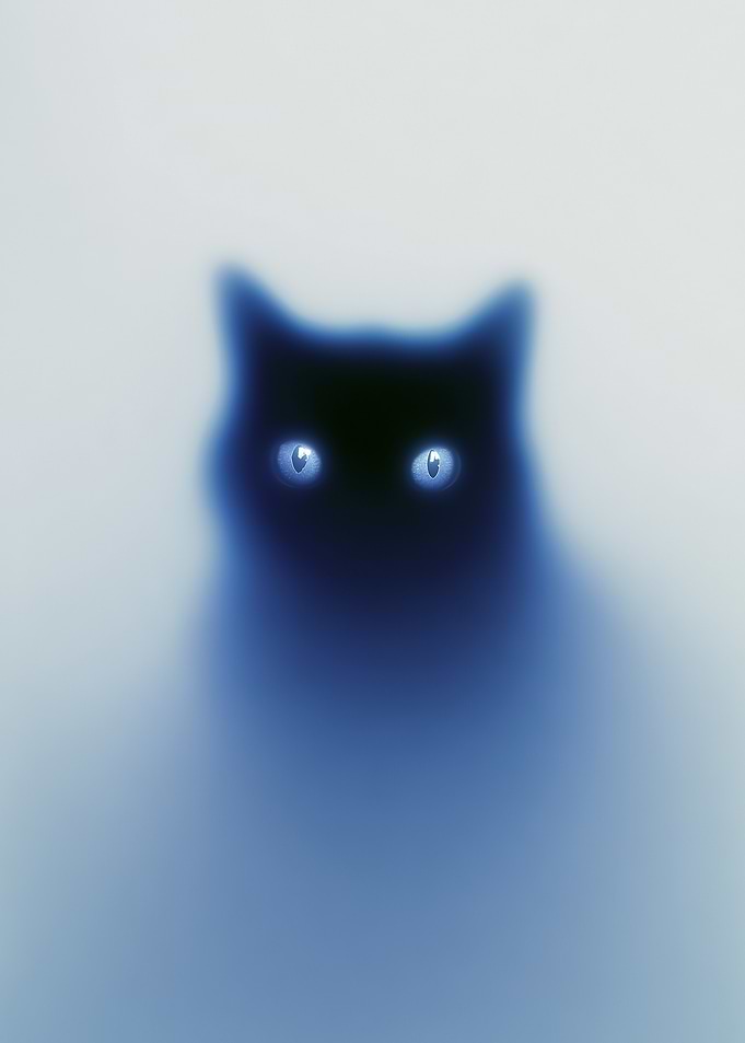 Mysterious Black Cat with Glowing Blue Eyes