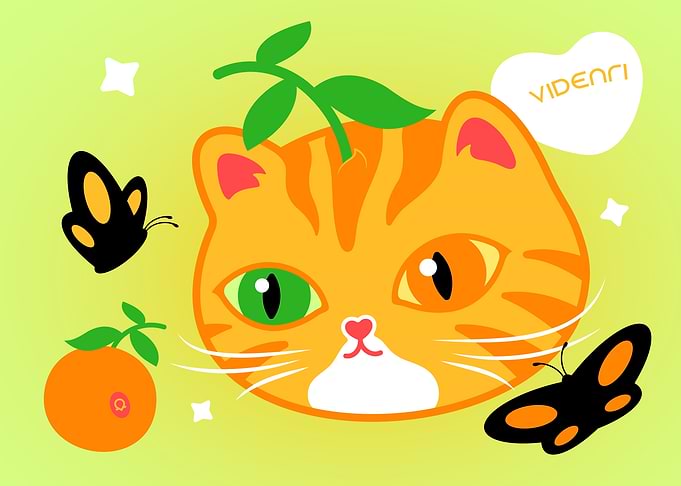 Cute Orange Cat