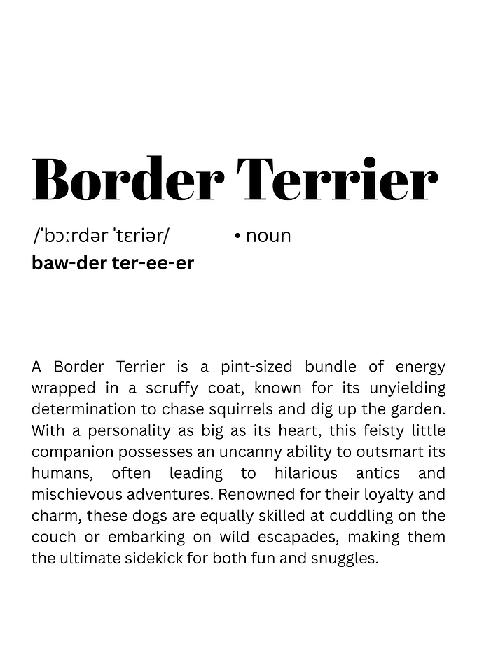 Border Terrier Definition