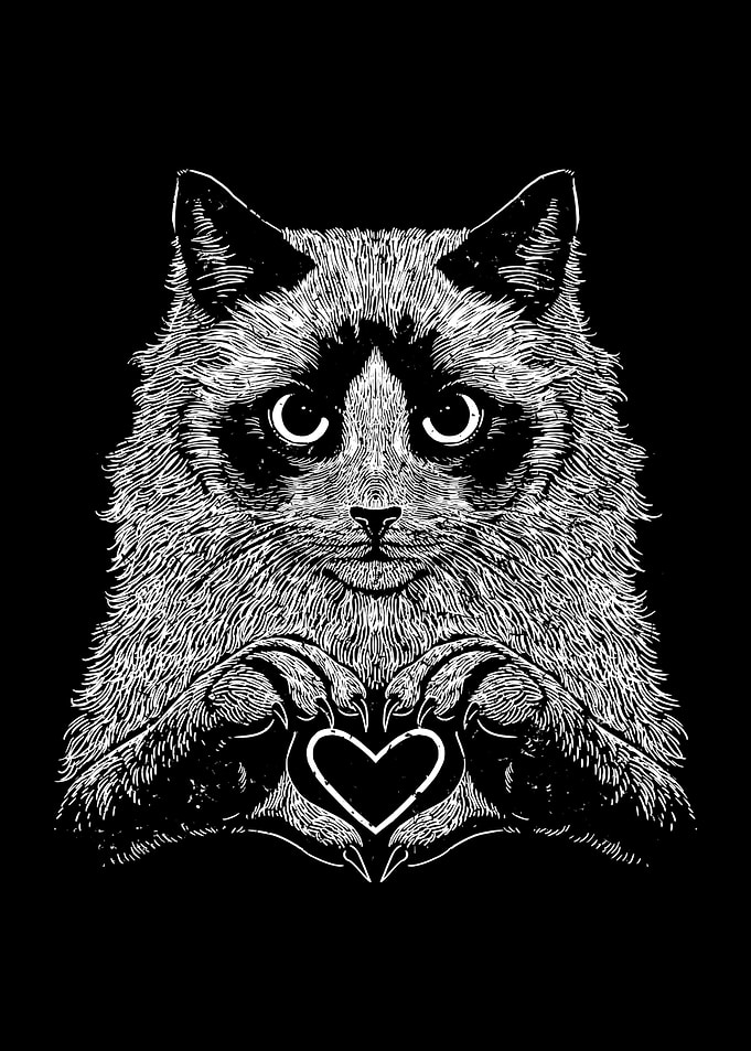 Ragdoll Gentle Heart