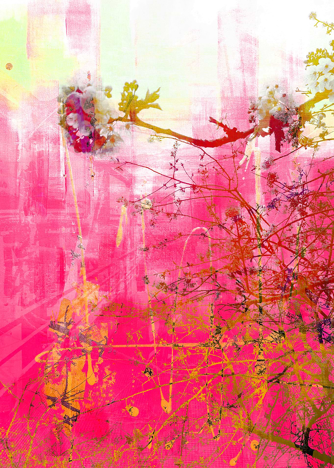 Vibrant Pink Blossom Floral Abstract Art