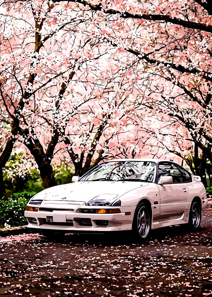 White Sports Car Under Cherry Blossoms