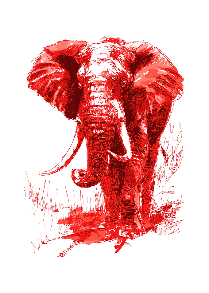 Red Elephant Sketch