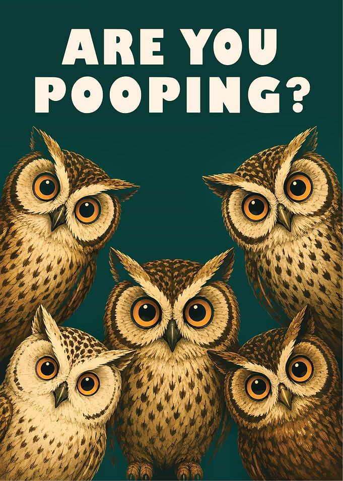 Are You Pooping owl Art
