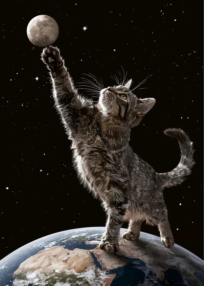 Pawsome Feline Shifting the Moon's Orbit