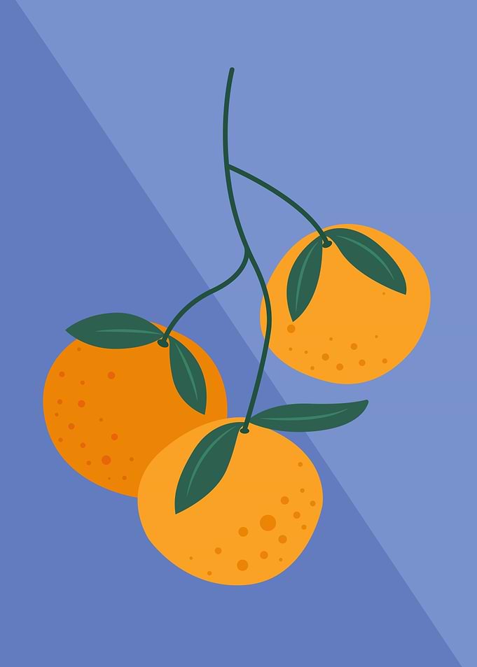 Oranges on a Branch
