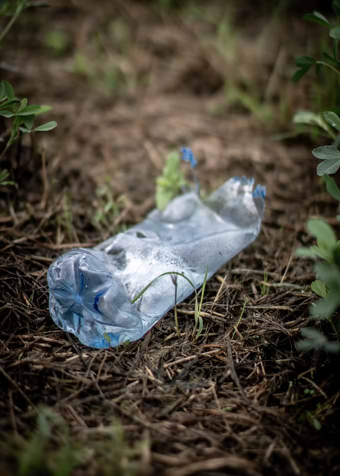 Crushed plastic bottle on forest floor