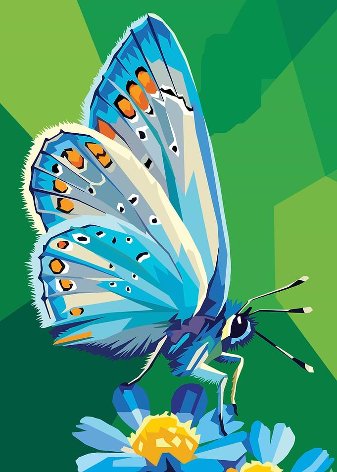Blue Butterfly on Flowers