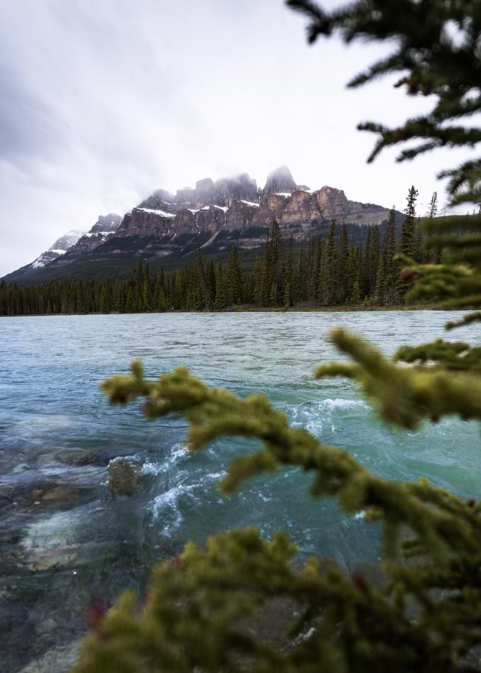 Mountain Lake with Pine Trees