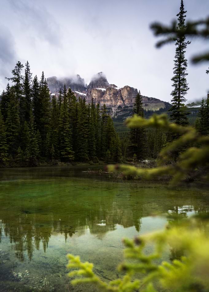 Mountain Lake and Forest