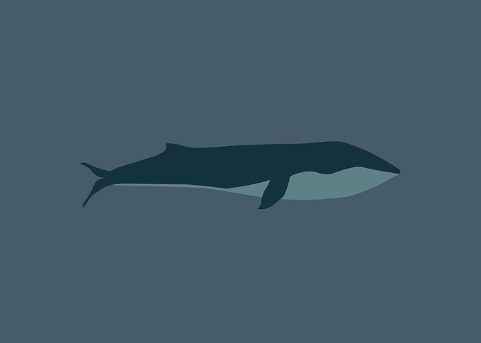 Oceanic Minimalism Blue Whale Navy Blue Art