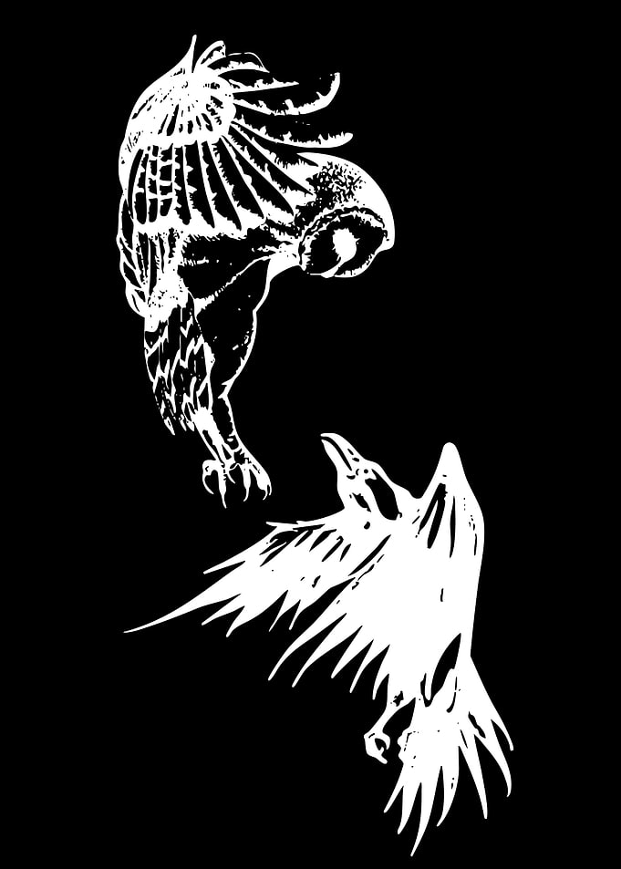 Owl and Raven in Flight